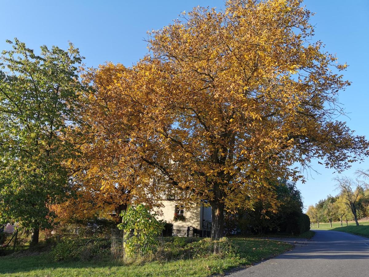 Ferienwohnung "Am Saalehaken" Gossitz Экстерьер фото
