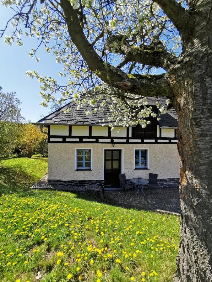 Ferienwohnung "Am Saalehaken" Gossitz Экстерьер фото